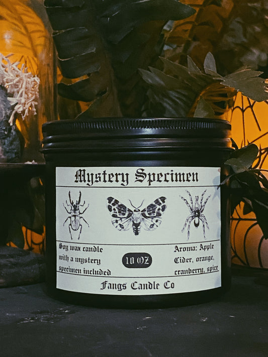 Mystery Specimen Candle (Spiced Cran/Orange/Apple)
